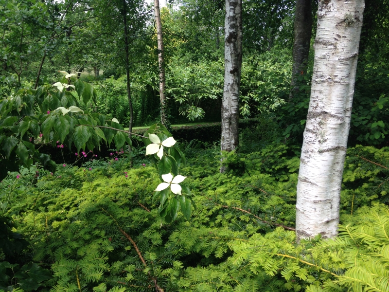 Cae Hir Gardens